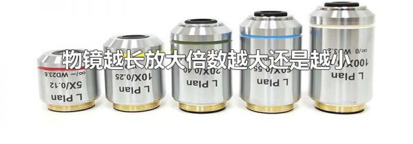 物镜越长放大倍数越大还是越小