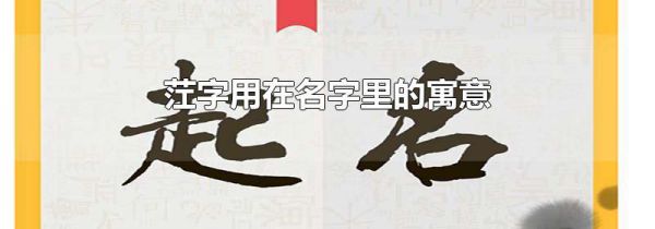 茳字用在名字里的寓意