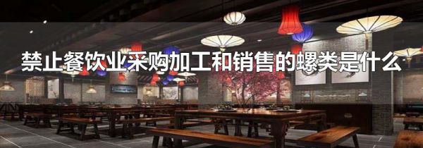 禁止餐饮业采购加工和销售的螺类是什么