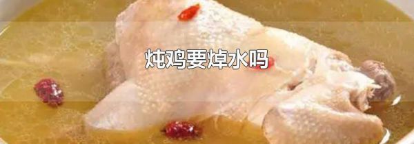 炖鸡要焯水吗