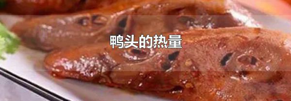 鸭头的热量