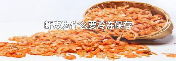 虾皮为什么要冷冻保存