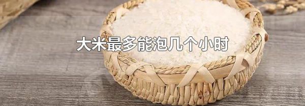 大米最多能泡几个小时