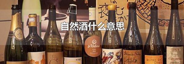 自然酒什么意思