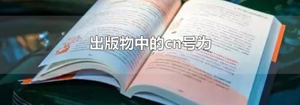 出版物中的cn号为