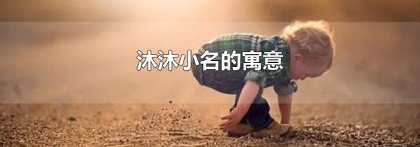 沐沐小名的寓意