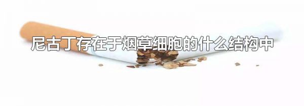 尼古丁存在于烟草细胞的什么结构中