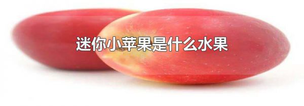迷你小苹果是什么水果