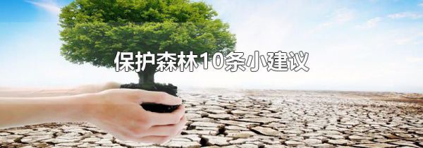保护森林10条小建议