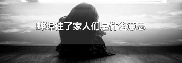 蚌埠住了家人们是什么意思