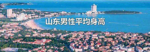 山东男性平均身高