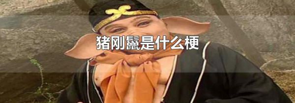 猪刚鬣是什么梗