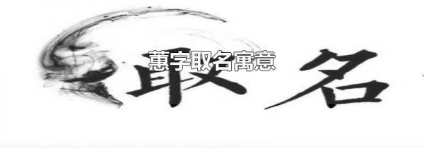 蕙字取名寓意