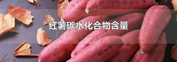 红薯碳水化合物含量