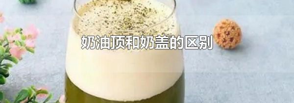 奶油顶和奶盖的区别