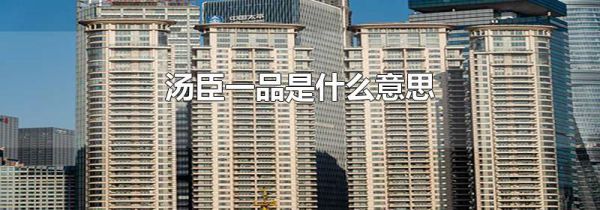 汤臣一品是什么意思