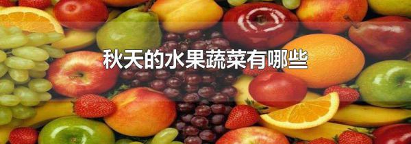 秋天的水果蔬菜有哪些