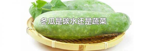 冬瓜是碳水还是蔬菜