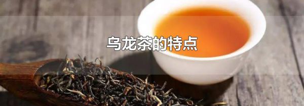乌龙茶的特点