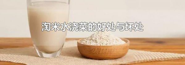 淘米水浇菜的好处与坏处