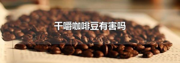 干嚼咖啡豆有害吗