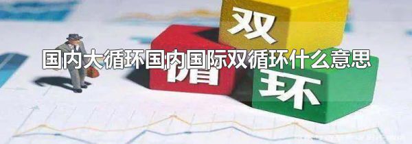 国内大循环国内国际双循环什么意思