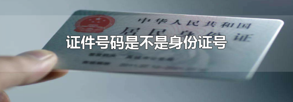 证件号码是不是身份证号