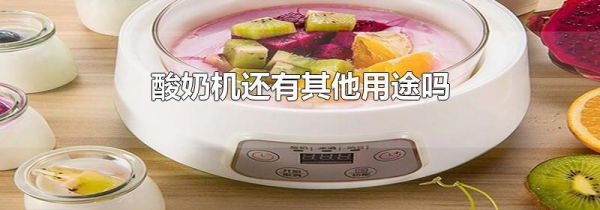 酸奶机还有其他用途吗