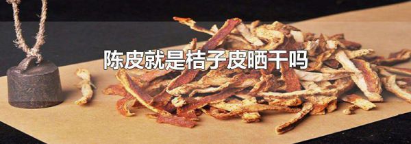 陈皮就是桔子皮晒干吗