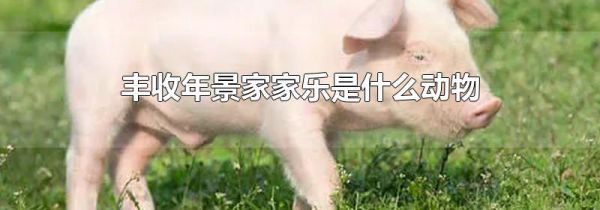 丰收年景家家乐是什么动物