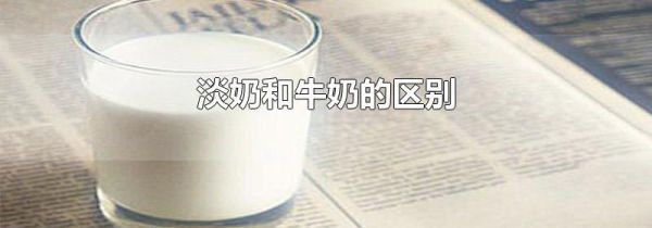 淡奶和牛奶的区别