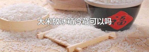 大米放冰箱冷藏可以吗