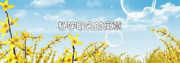 杼字取名的寓意