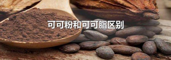 可可粉和可可脂区别