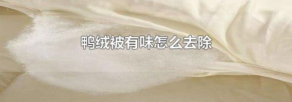 鸭绒被有味怎么去除