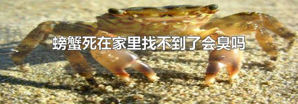 螃蟹死在家里找不到了会臭吗