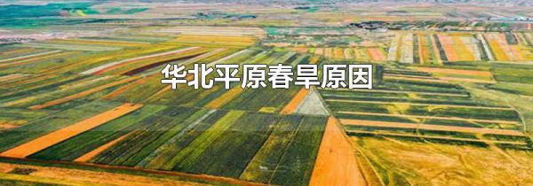 华北平原春旱原因