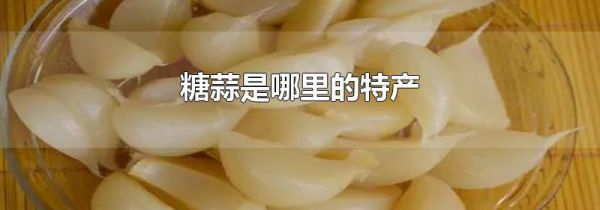 糖蒜是哪里的特产