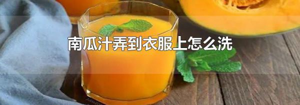 南瓜汁弄到衣服上怎么洗