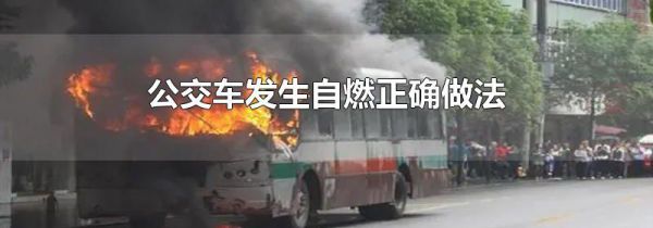 公交车发生自燃正确做法