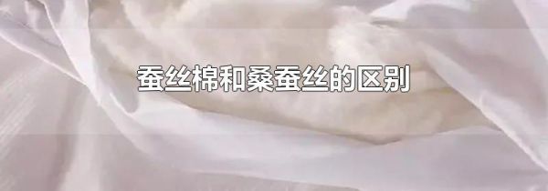蚕丝棉和桑蚕丝的区别