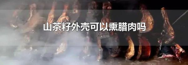 山茶籽外壳可以熏腊肉吗