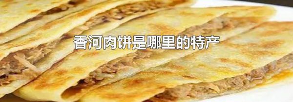 香河肉饼是哪里的特产
