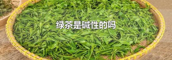 绿茶是碱性的吗