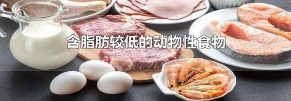 含脂肪较低的动物性食物