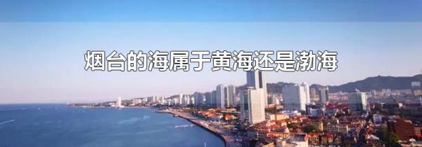 烟台的海属于黄海还是渤海