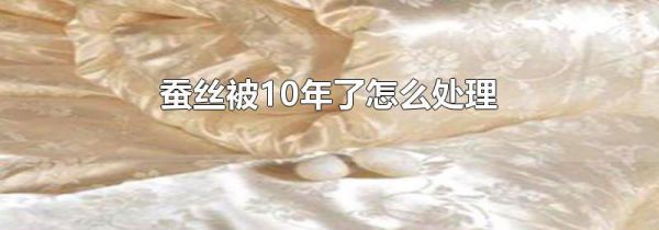 蚕丝被10年了怎么处理
