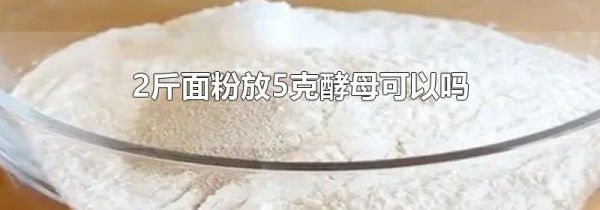 2斤面粉放5克酵母可以吗