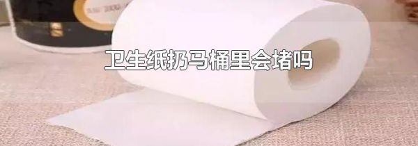 卫生纸扔马桶里会堵吗