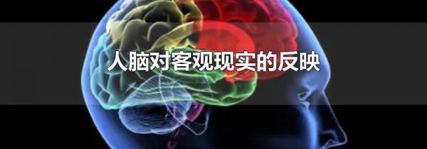 人脑对客观现实的反映